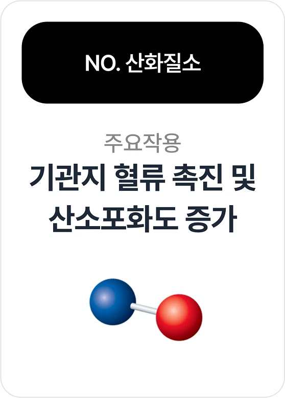 NO 분자