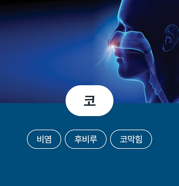 코 - 비염, 후비루, 코막힘