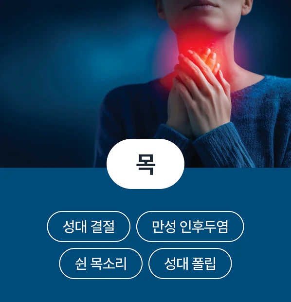 목 - 성대 결절, 만성 인후두염, 쉰 목소리, 성대 폴립